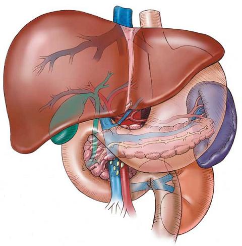 Boli hepatice