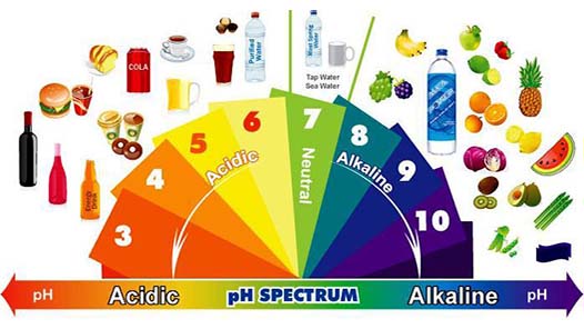 alimente-alcaline-acide